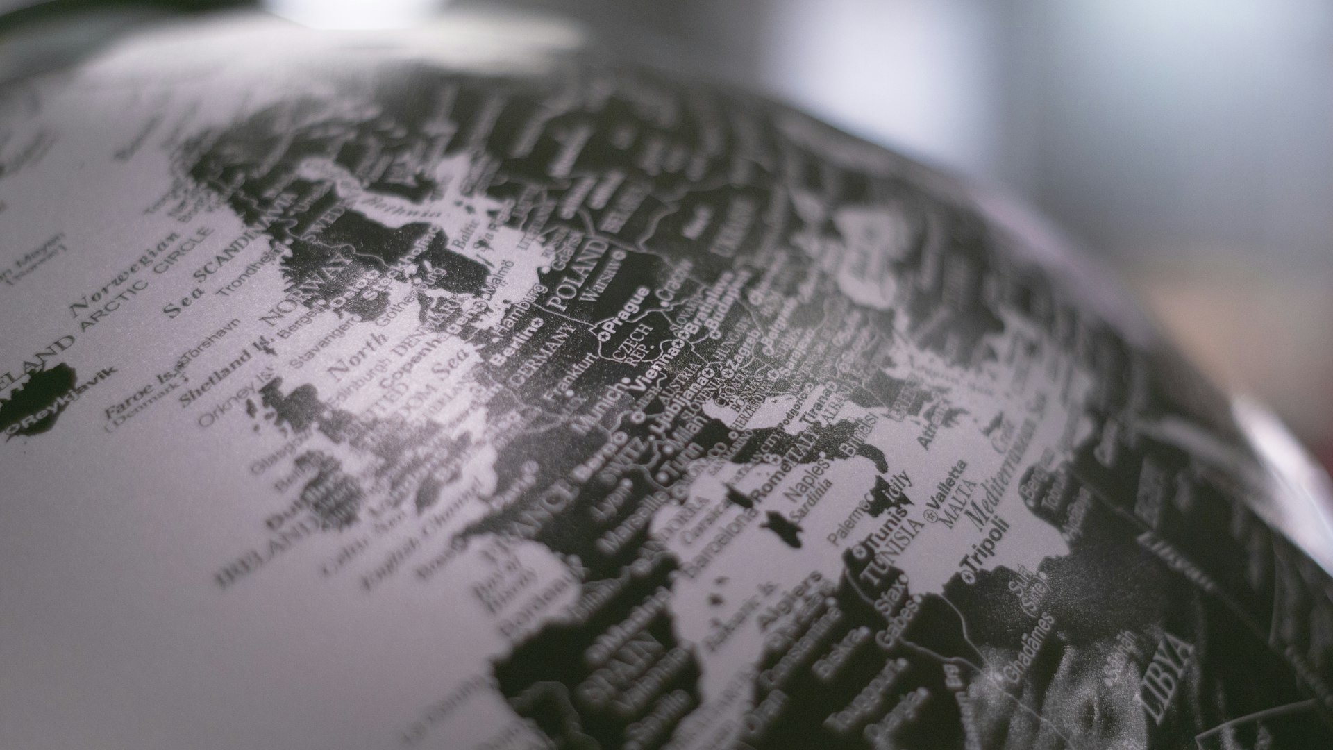 Grayscale globe representing Scribivia's translation services across every industry